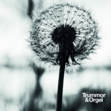 Graceful degradation/New beginning-image-7393210308824