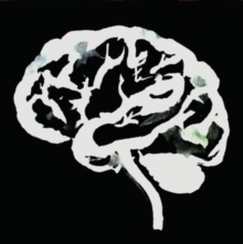Brain flakes-image-8056099006883