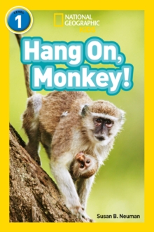 Hang On, Monkey! : Level 1