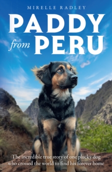 Paddy from Peru : The incredible true story of one plucky dog who crossed the world to find his forever home