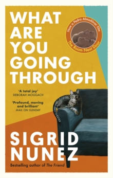 What Are You Going Through : Now a Pedro Almod var film - THE ROOM NEXT DOOR