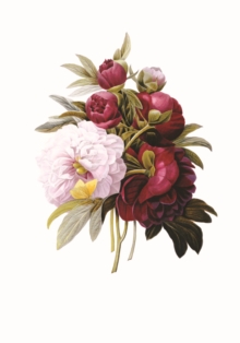 Memo Block: Redoute Peony : High-quality block of notepapers in a presentation cube box with built-in drawer