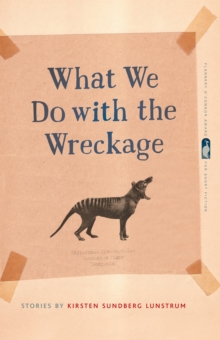 What We Do with the Wreckage : Stories