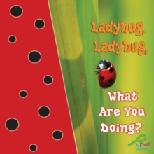 Ladybug, Ladybug, What Are You Doing?