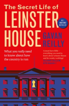 The Secret Life of Leinster House : What you really need to know about how the country is run