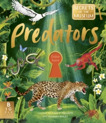 Secrets of the Museum: Predators : A collectable non-fiction series for younger readers, from the team behind the bestselling Welcome to the Museum
