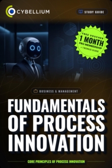 The Fundamentals of Process Innovation : Core principles of Process Innovation