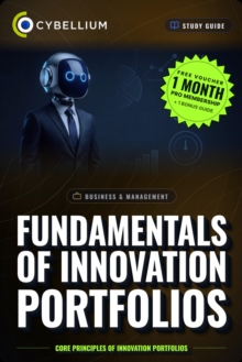 The Fundamentals of Innovation Portfolios : Core principles of Innovation Portfolios