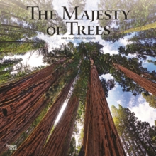 Majesty Of Trees The 2020 Square Wall Calendar