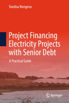 Project Financing Electricity Projects with Senior Debt : A Practical Guide