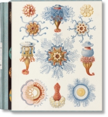 The Art and Science of Ernst Haeckel