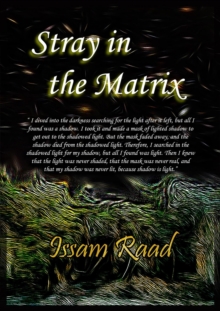 Stray in the Matrix