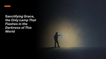 Sanctifying Grace, the Only Lamp That Flashes in the Darkness of This World