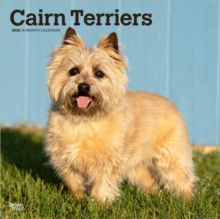 Cairn Terriers 2026 Square Flap Calendar-image-9798330702701