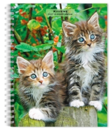 Kittens 2027 6 X 7.75 Inch Spiral-Bound Wire-O Weekly Engagement Planner Calendar New Full-Color Image Every Week