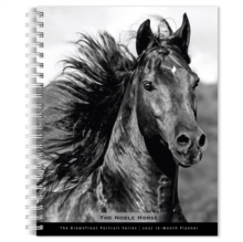 The BrownTrout Portrait Series: The Noble Horse | 2027 6 x 7.75 Inch Spiral-Bound Wire-O Weekly Engagement Planner Calendar | New Image Every Week | Pets Equestrian