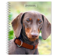 Dachshunds 2027 6 X 7.75 Inch Spiral-Bound Wire-O Weekly Engagement Planner Calendar New Full-Color Image Every Week