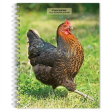 Chickens | 2027 6 x 7.75 Inch Spiral-Bound Wire-O Weekly Engagement Planner Calendar | New Full-Color Image Every Week | BrownTrout | Domestic Farm Animals