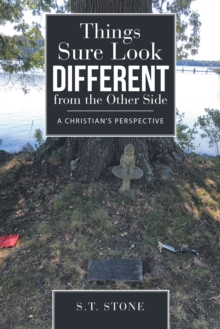 Things Sure Look Different from the Other Side : A Christian's Perspective