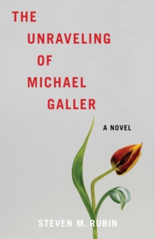 Unraveling of Michael Galler : A Novel-image-9798896363750