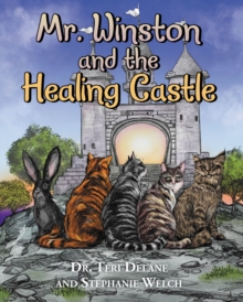 Mr. Winston and the Healing Castle-image-9798898882037