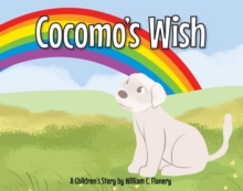Cocomo's Wish-image-9798899222351