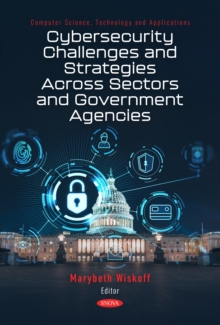Cybersecurity Challenges and Strategies Across Sectors and Government Agencies-image-9798901340653