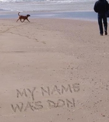 My Name Was Don-image-9798950930164