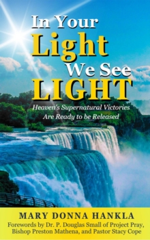 In Your Light We See LIGHT : Heaven's Supernatural Victories Are Ready To Be Released-image-9798988039419
