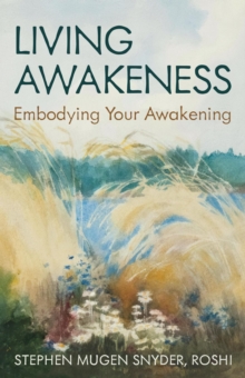 Living Awakeness: Embodying Your Awakening-image-9798988172055