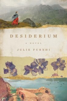 Desiderium-image-9798988592426