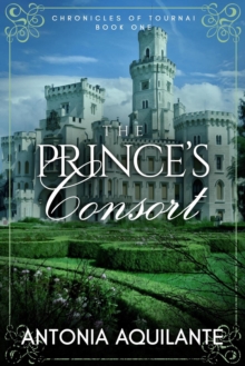 Prince's Consort : Chronicles of Tournai, #1-image-9798988904540