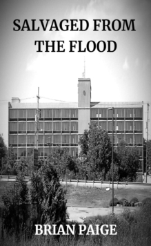 Salvaged From the Flood-image-9798989400621