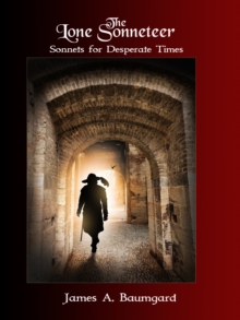 Lone Sonneteer-image-9798989546923