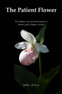 Patient Flower: The Hidden Lives of North America's Native Lady's Slipper Orchids-image-9798996547821