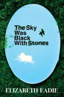 Sky Was Black With Stones-image-9798999400659
