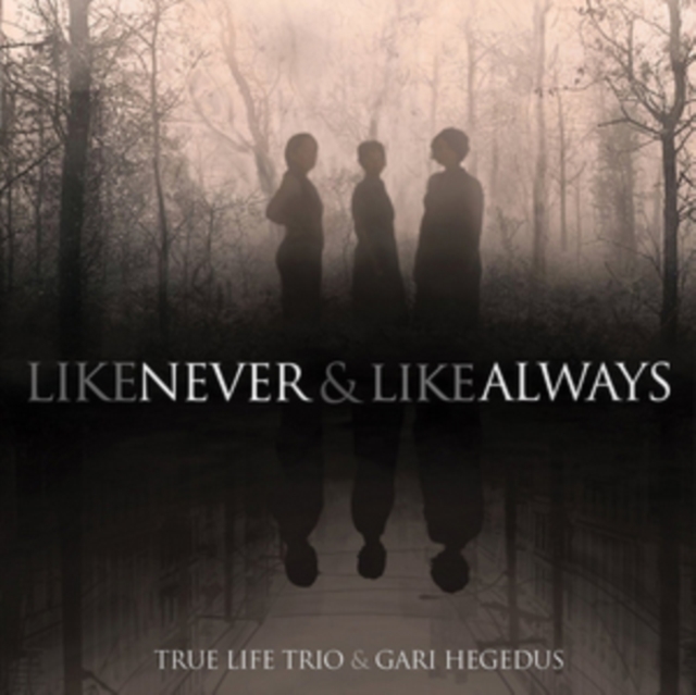 Like Never & Like Always, Vinyl / 12" Album Vinyl