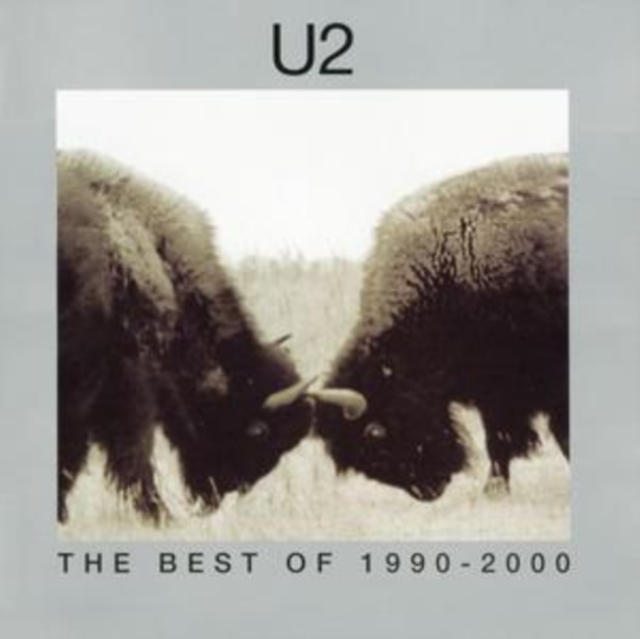 The Best of 1990-2000, CD / Album Cd