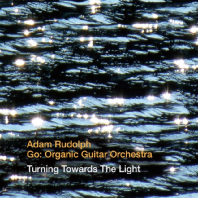 Turning Towards the Light, CD / Album Cd