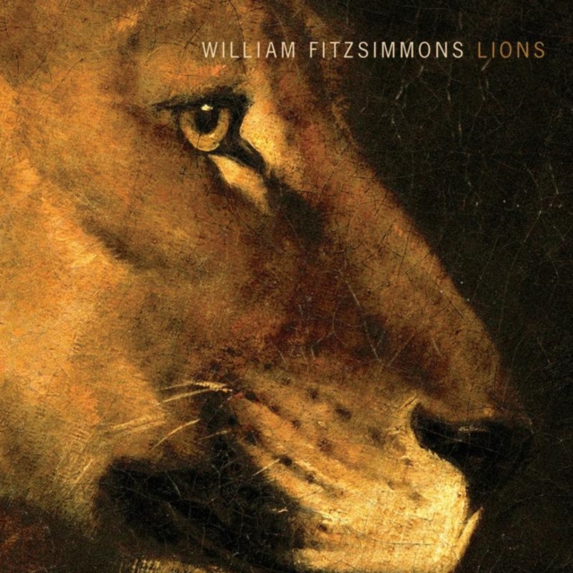 Lions, CD / Album Cd