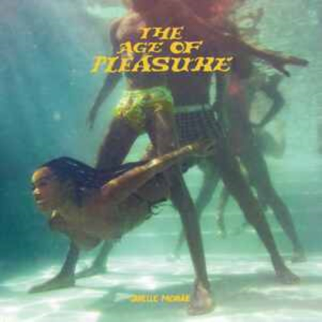 The Age of Pleasure, CD / Album Cd