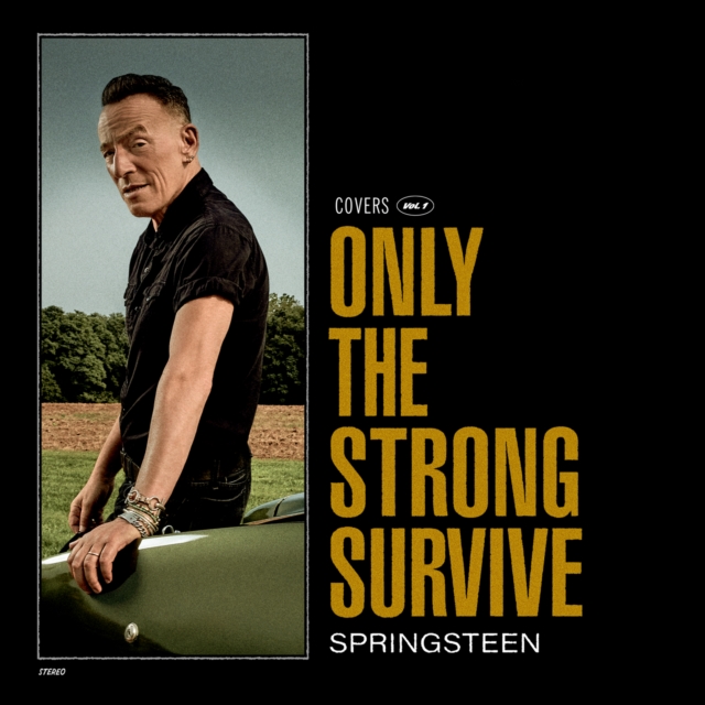 Only the Strong Survive, CD / Album Cd