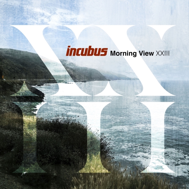 Morning View XXIII, Vinyl / 12" Album Vinyl