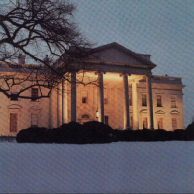 The White House, Vinyl / 12" Album Vinyl