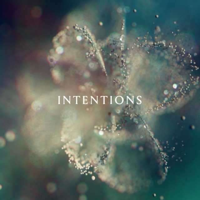 Intentions, Vinyl / 12" Album Vinyl