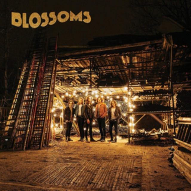 Blossoms, Vinyl / 12" Album Vinyl