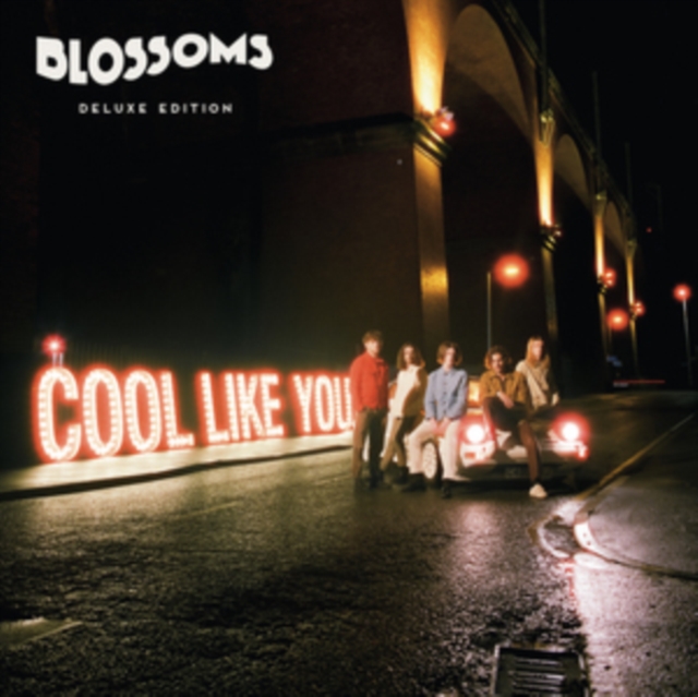 Cool Like You (Deluxe Edition), CD / Album Cd