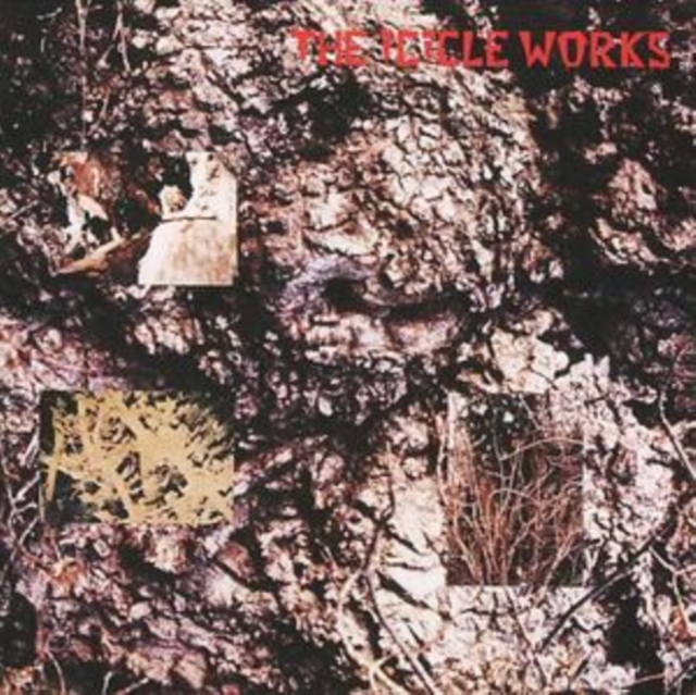Icicle Works, The (Remastered and Expanded), CD / Album Cd