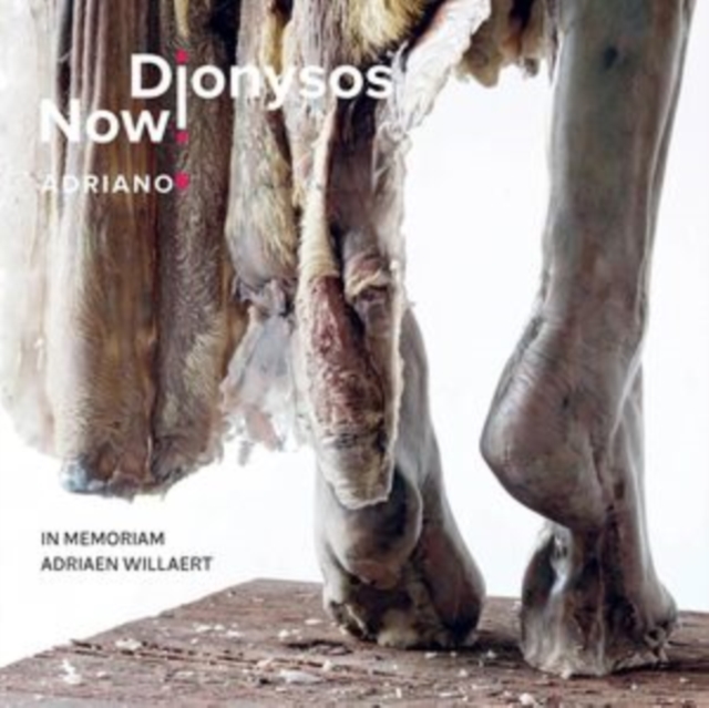 Dionysos Now!: Adriano 5: In Memoriam Adriaen Willaert, CD / Album Cd