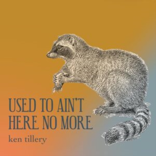 Used to ain't here no more, CD / Album Cd
